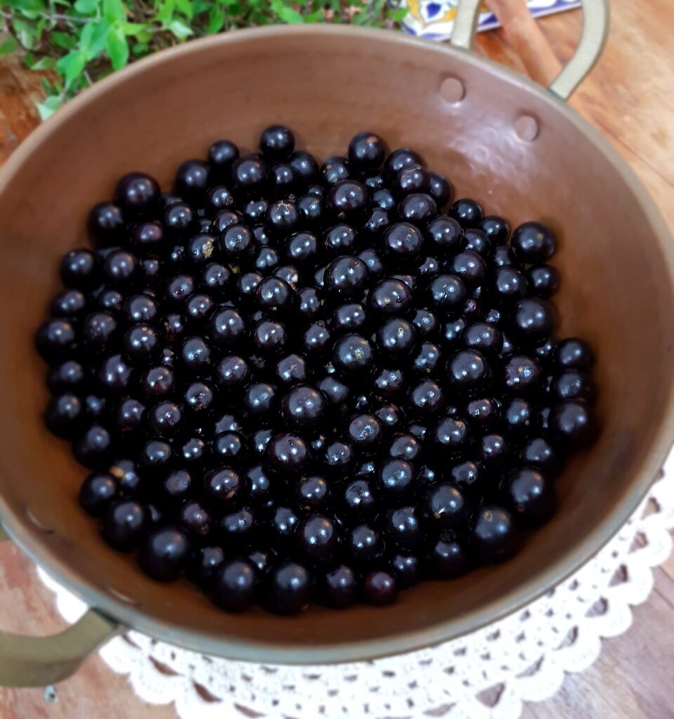 Geleia de jabuticaba: receita caseira deliciosa