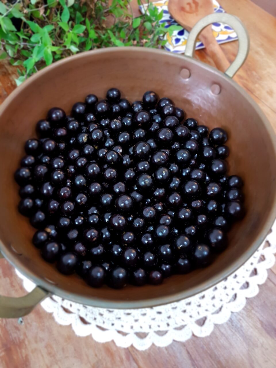 Geleia de jabuticaba: receita caseira deliciosa